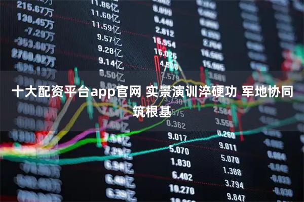 十大配资平台app官网 实景演训淬硬功 军地协同筑根基