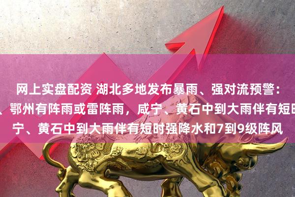 网上实盘配资 湖北多地发布暴雨、强对流预警:预计未来3小时,黄冈、鄂州有阵雨或雷阵雨,咸宁、黄石中到大雨伴有短时强降水和7到9级阵风